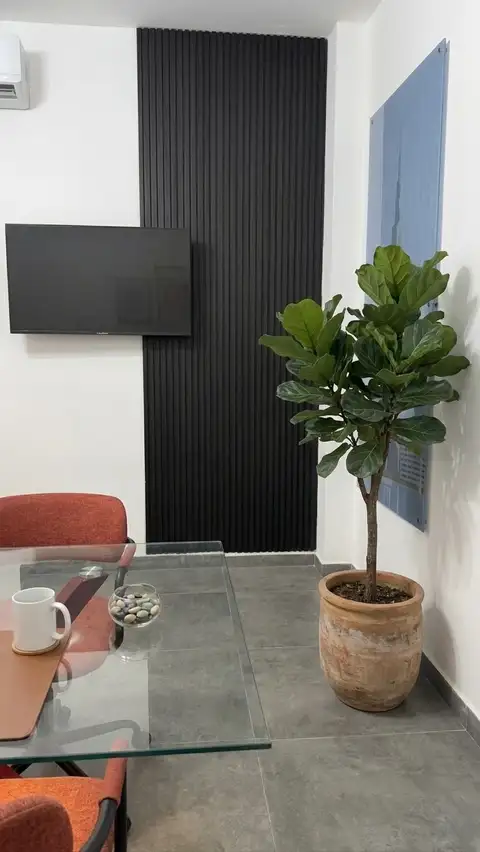 מסך ההקרנה וקיר החיפוי בחדר הישיבות במגשימים 24